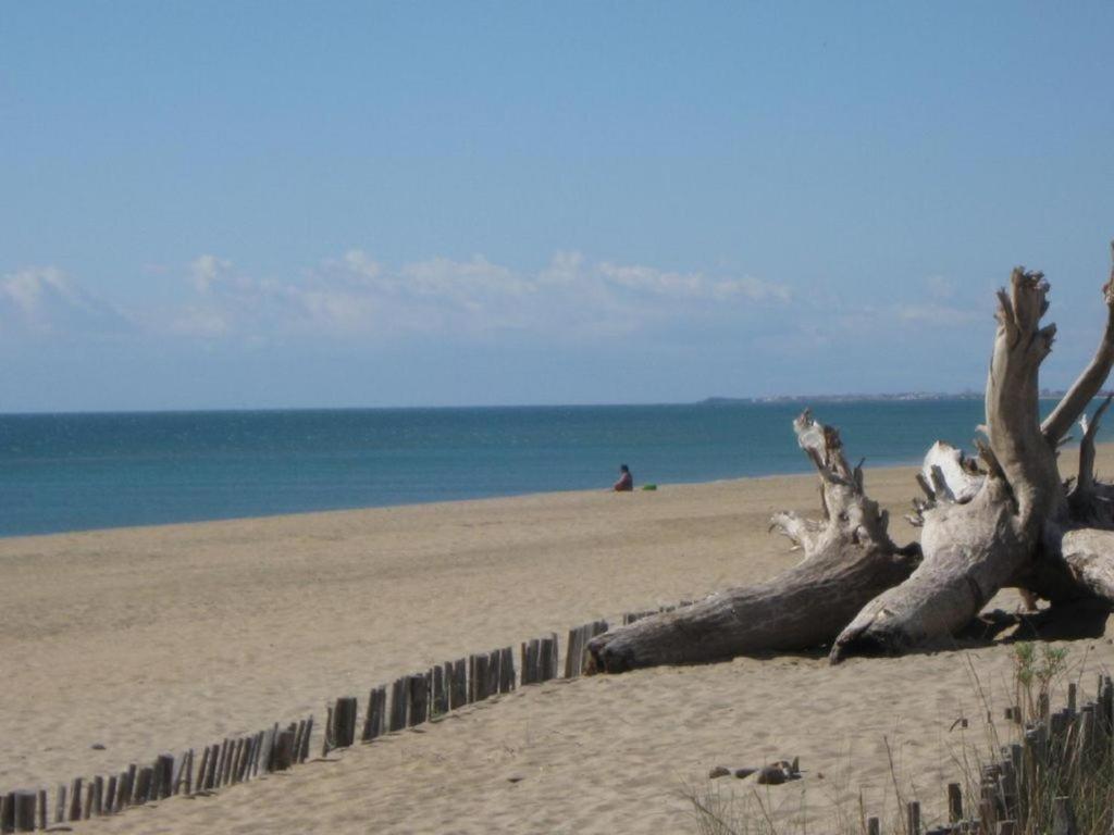 L'Etoile De Mer Sète Extérieur photo